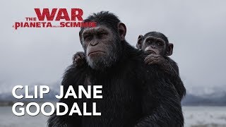 The War - Il Pianeta delle Scimmie | Clip Jane Goodall HD | 20th Century Fox 2017