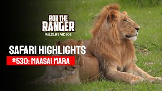 Safari Highlights #530: 10 & 11 December 2019 | Maasai Mara/Zebra Plains | Latest Wildlife Sightings