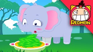 Save the Elephant | Animal Rescue Team | with alan | REDMON
