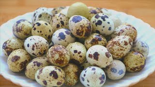 The most delicious way of quail eggs, put a bottle of beer, children eat the most nutritious