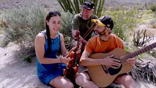 Irish Music Performed Amongst the Wildflower Super-bloom