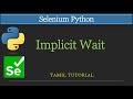 Implicit Wait in Selenium Python | Selenium Python Tutorial