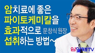 암 치료의 길~암 치료에 좋은 파이토케미칼을 효과적으로 섭취하는 방법~