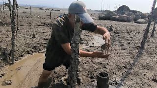 到竹筒那去抽一抽看，里面黏着章鱼不肯出来，大筒里还困住肥蟹哦