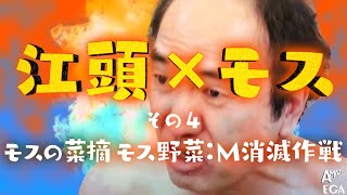 EGAxMOS NATSUMI  MOS Yasai:M Extermination Strategy-\