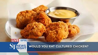 Cultured chicken meat approved for sale in S'pore | ST NEWS NIGHT