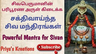 Siva Manthiram Tamil | சிவ பூஜை மந்திரம் | சிவ மந்திரங்கள் | Vedapureeswarar temple Thiruverkadu