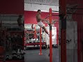 Muscle Up Progressions (LVL 1-4)