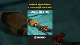 పురాతన తవ్వకాల్లో దొరికిన వింత ఏలియన్ || #shorts #telugushorts #tjtelugushorts