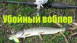 Убойный воблер \\Jackall Cherry One Footer\\ за работой \\Днепр \\ловля щуки\\