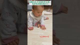 【赤ちゃん】お気に入りのおもちゃが取れない…。取ったらシャカシャカできるのに #赤ちゃん #生後7ヵ月 #娘 #ニコニコ #成長記録 #shorts