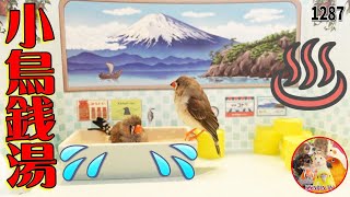 小鳥銭湯で水浴びしてきました♨友達と温泉だー！｜レトロなお風呂 グッズ かわいい バード銭湯 Japanese Birds public bath・Onsen Sento 動画1287