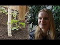 The FIRST GARDENING Vlog this Year - Life in Rural Germany