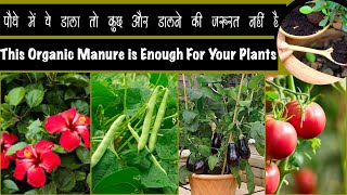 पौधे में सिर्फ़ ये डाला तो कुछ ओर डालने की जरूरत नही It Provides Essential nutrients to your plants