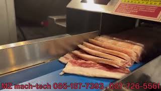 เครื่องสไลด์เนื้อแช่แข็งแบบสายพานเล็ก (Frozen meat slicer machine with belt)