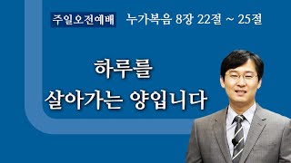 [물댄동산교회] 1월 17일 주일예배 | 하루를 살아가는 양입니다 | 김용귀목사 설교