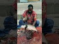 WOW!! Big Katla Fish Cutting Skills #shorts #viral #fish_cutting #trending #bongofish