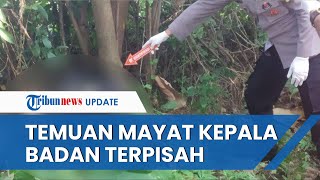 VIRAL Penemuan Mayat di Ponorogo Kepala di atas Pohon Terpisah dengan Badan yang Tergeletak di Tanah