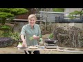 japanese pork stew everyday gourmet s7 ep47