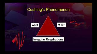 TBI Pathophysiology for Paramedic