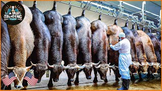 How Chinese Farmers Make Millions Of Dollars From Milk And Buffalo Meat? | Farming Documentary