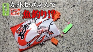 「よっちゃんイカ」で釣りをしてみた結果が衝撃的でした！