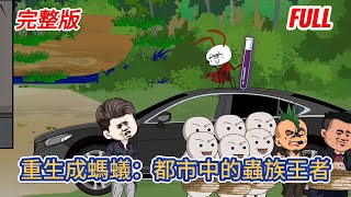 都市动画 | 完整版《重生成螞蟻：都市中的蟲族王者》石炭紀入侵，藍星即將重返巨蟲時代，我重生成一隻螞蟻，帶著系統以蟲族身份崛起！#糖寶動畫