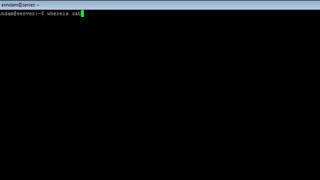 Linux - whereis Command - w3resource