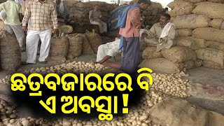 Potato Crisis | ଛତ୍ରବଜାରରେ ବି ଏ ଅବସ୍ଥା ! Potato Prices Touch Rs 50 Per kg In Cuttack | Chhatra Bazar