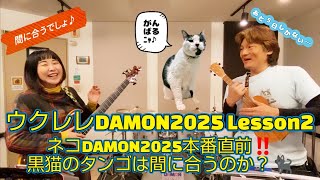 ウクレレDAMON2025 lesson2「ネコDAMON2025、いよいよ本番！！果たして黒猫のタンゴは間に合うのか？」