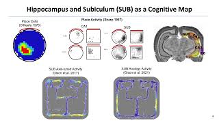 Evolved Spiking Neural Networks (IJCNN 2021)