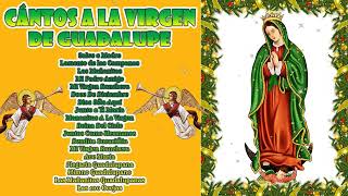 Cántos a la virgen de Guadalupe💐La Virgen De Guadalupe🙏💐Mariachi Cantares De Mexico