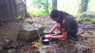 热带雨林生存记录，给猪做饭，清理鱼塘杂草并投入猪粪