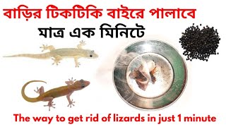 টিকটিকি তাড়ানোর সহজ উপায় || The way to get rid of lizards in just 1 minute,Pepper powder,pts