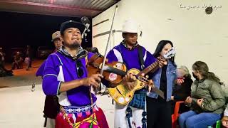 Ritmo huichol en Pila de las Oscuras