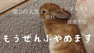 【放し飼いうさぎ】もうぜんぶやめました　