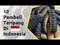 10 Pembeli Gamat di Indonesia