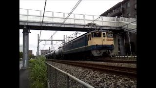 EF65 1000番台 国鉄色の貨物列車～残り1両～/Japan Railway/Japan Train