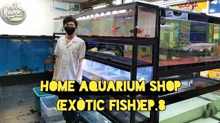 Home​ Aquarium​ Shop​(Exotic​ Fish)​🐟Ep.8