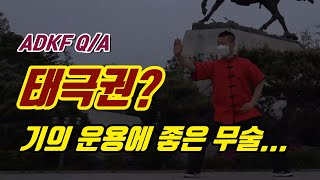 기의 운용에 좋은 무술, 진가태극권? 뭐가 있을까? | ADKF 무관