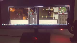 [ schwarz RS ] Osrs training and skilling with mouse recorder