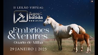 II LEILÃO VIRTUAL AGROBATIDA EMBRIÕES \u0026 VENTRES