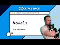 Conquer the JavaScript Interview: Counting Vowels [Beginner Skill Level]