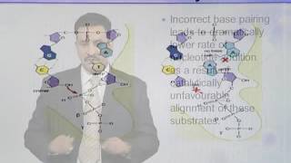 BIO302 Topic040