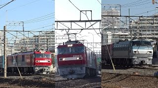 JR貨物　EH500-51牽引　3087ﾚと前後の貨物列車　府中本町　2016/03/17