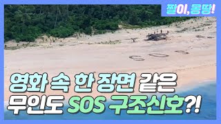 [#짤이몽땅] 영화 속 한 장면 같은 🌊무인도 SOS 구조신호🌊