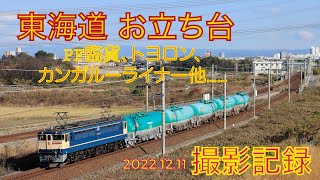 【森岡陸橋】冬光線バリ順のPF特急色！EF65牽引の臨9863レ、遅5087レ他