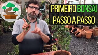 Como Fazer Seu Primeiro Bonsai Passo a Passo