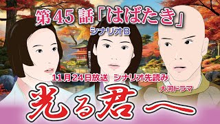 NHK大河ドラマ　光る君へ　 第45話「はばたき」 シナリオB  ドラマ展開・先読み解説  この記事は ドラマの行方を予測して お届けいたします   2024年11月24日放送予定