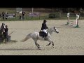 vibraye 2022 berenice u0026 classic das de la guerche cso club 3 grand prix